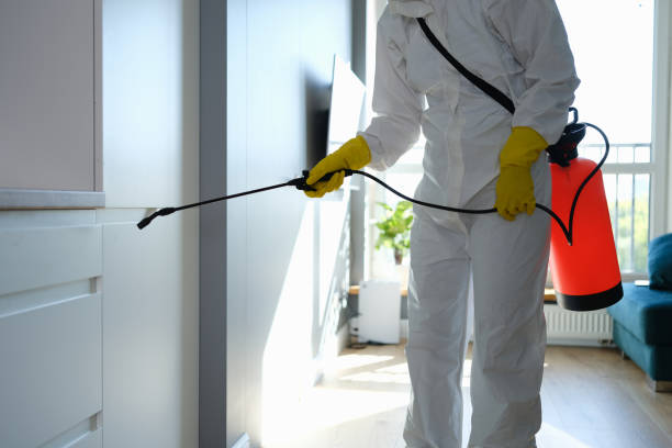 Best Commercial Mold Removal  in Medina, TN